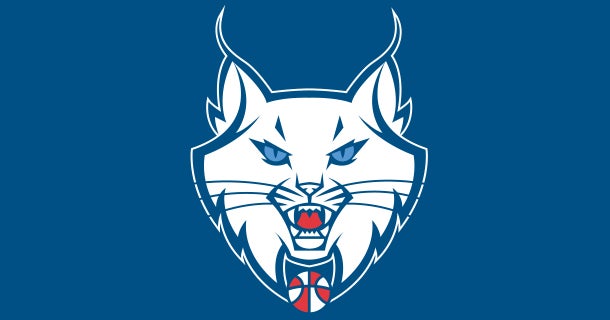 Lynx_Spotlight_610x320.jpg