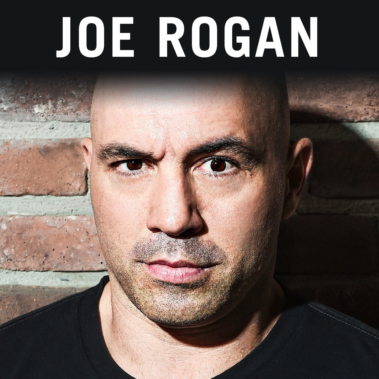 Joe Rogan