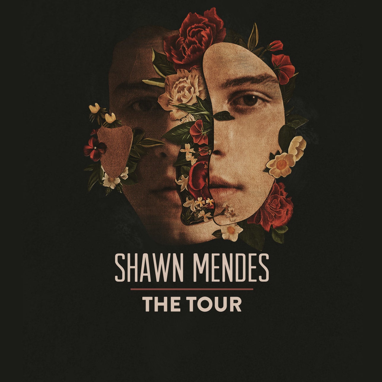 Shawn Mendes