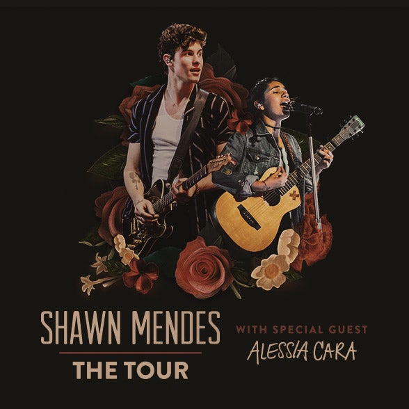 shawn mendes xcel energy