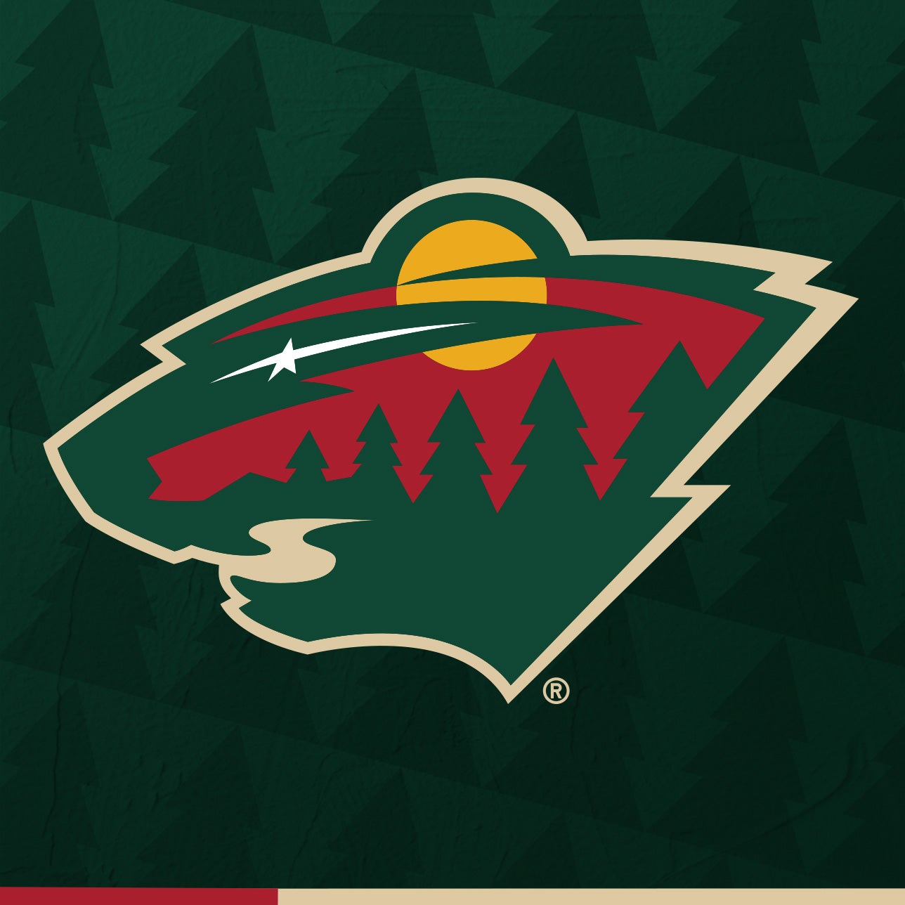 Minnesota Wild Playoff Viewing Party