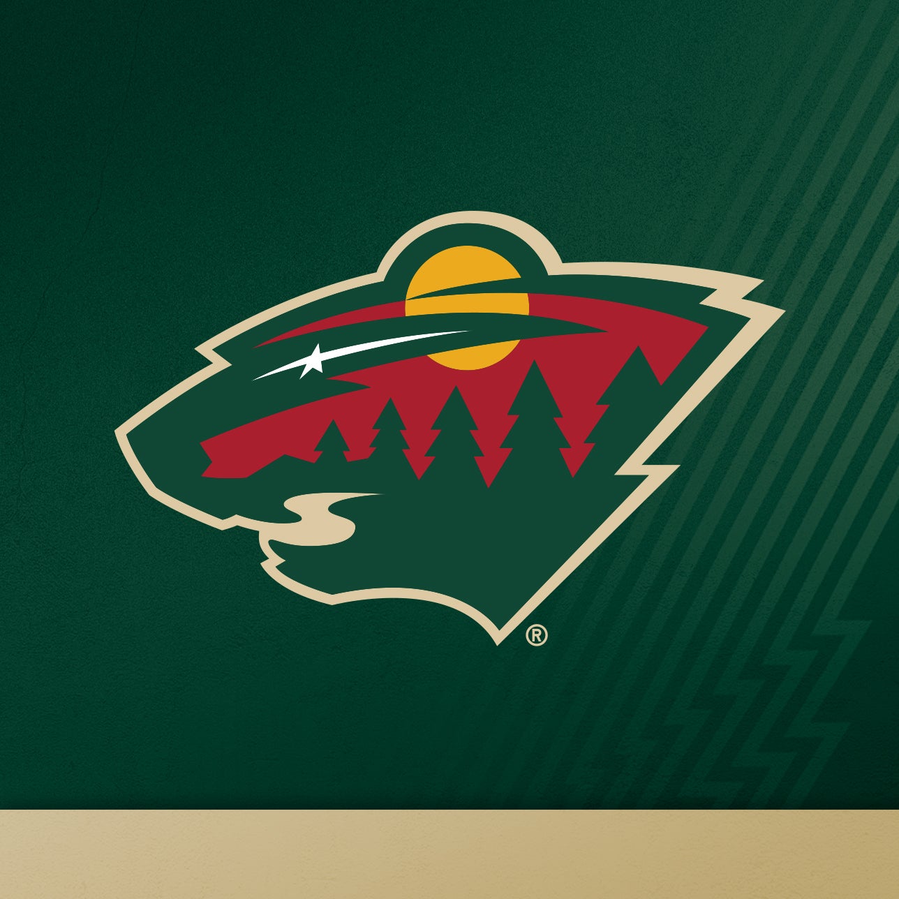 Minnesota Wild vs. Ottawa