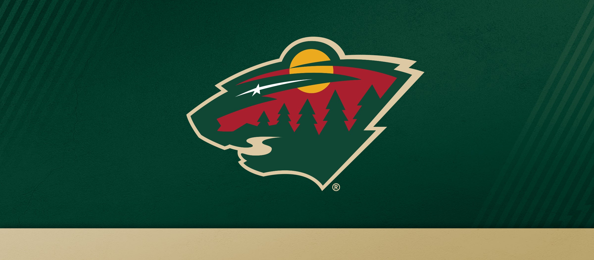 Xcel Energy Center – Minnesota Wild